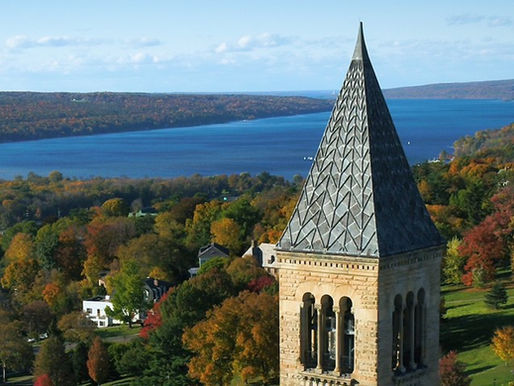 Far Above Cayuga’s Waters things have gone to hell! Due to the Trustees and Administration not properly leading Cornell.