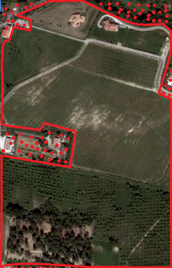 next opening field..work in progress
