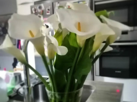 Parte importante en nuestra vida son las flores.