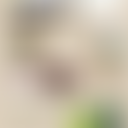 Va tomando forma. Mi portfolio personal e instranferible.