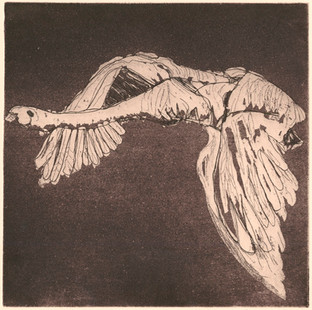 Flight Path
