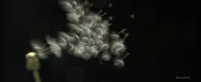 tumblr_n2b6o0jzTy1tuuzplo1_400.gif