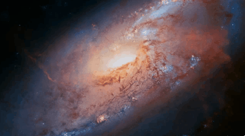 tumblr_n3c2qlrQ061rzkkzqo3_500.gif