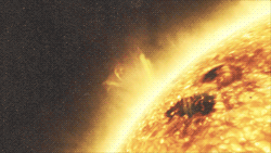 tumblr_mhqpj4LciQ1rpfc9no4_250.gif