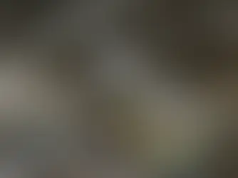 Information Disclosure: Plan to Distribute Bonus Shares (Capitalization of Additional Paid-in Capital / Share Premium)