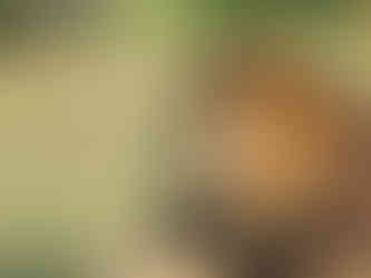 No so "up close and personal" on the game drive