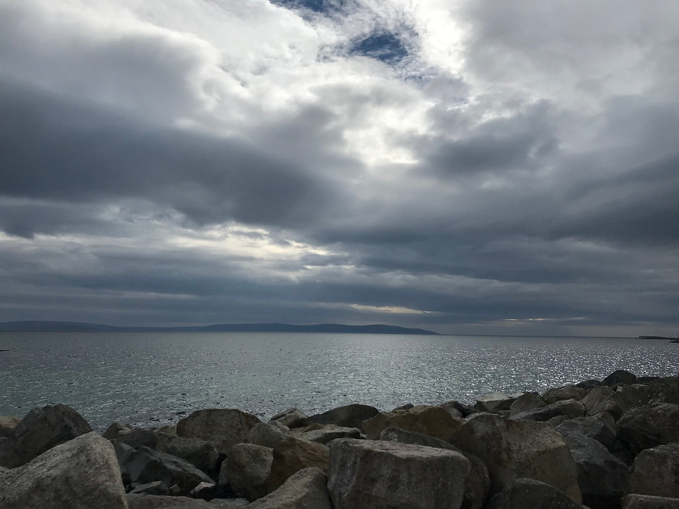IMG_3780.jpeg