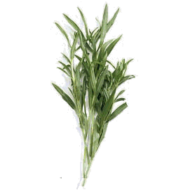 Tarragon