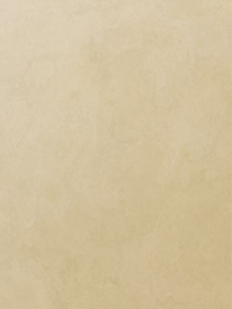 Asset 7 (2)_3x.png