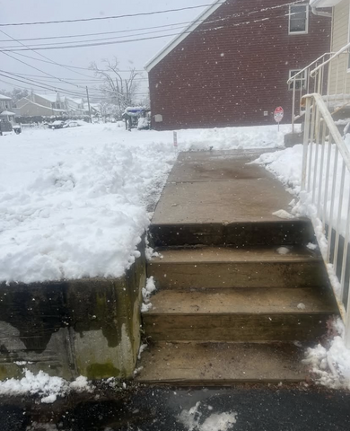 Snowy Landscape and Pathways
