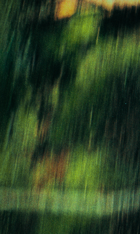 Untitled design (4).png