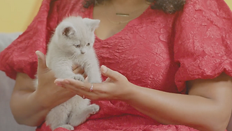 Screenshot 2025-11-27 at 10.25.02 AM.png