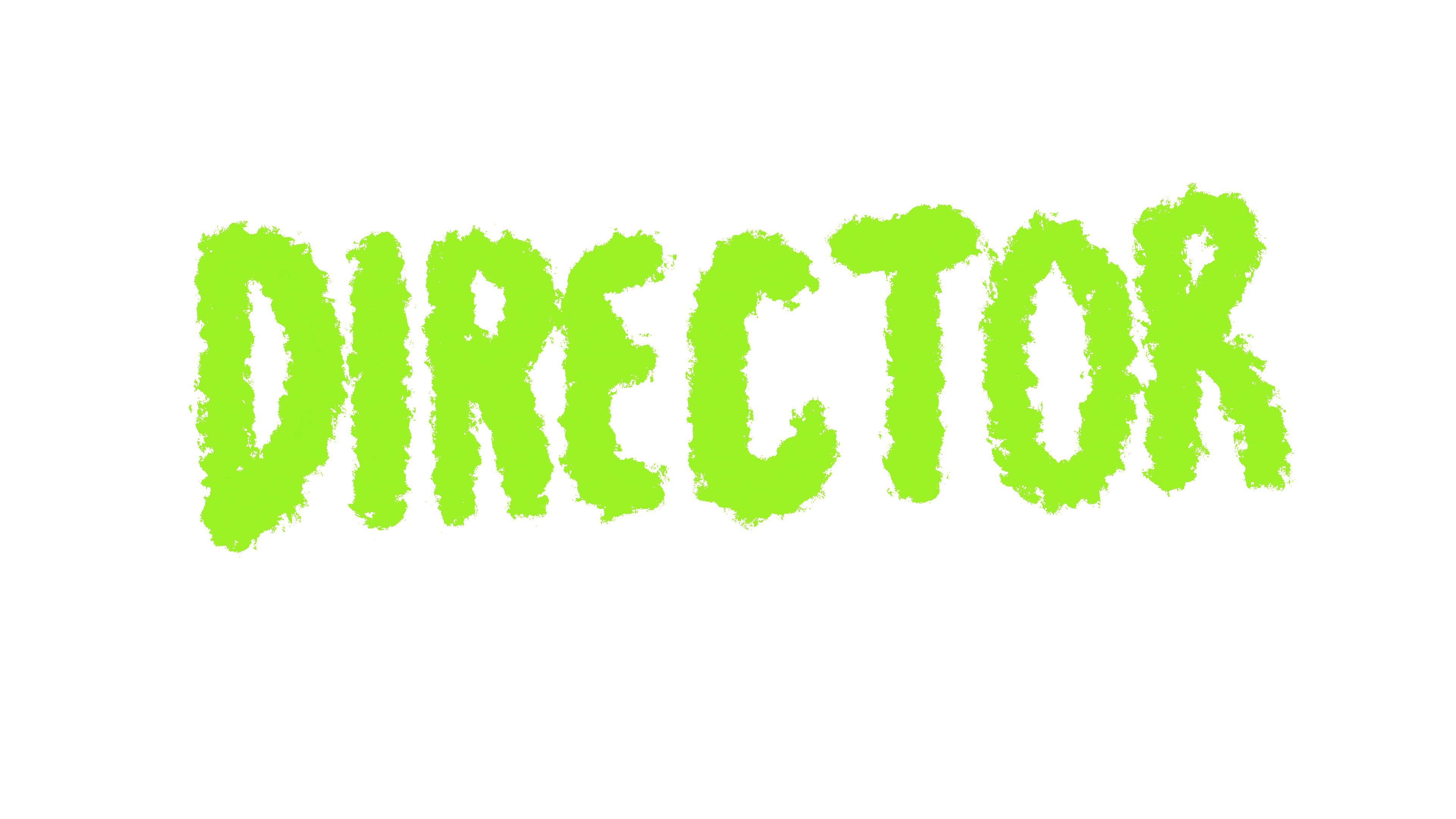 Director 2.gif