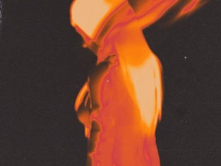 TNL VZN's "|You Know What Happens Next?" will make your mind bloom like a flower.