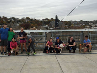Checking out the Manayunk Bridge!