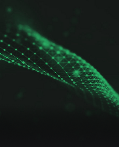 Frame 1000001420.png