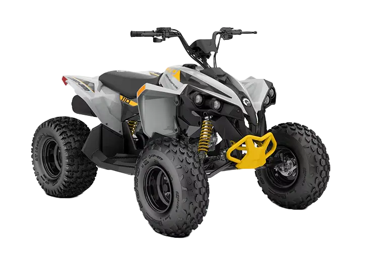 Renegade EFI 110