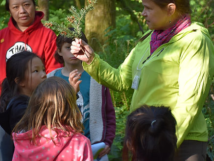 NatureKids BC leader in green jacket shows plant to group of children.