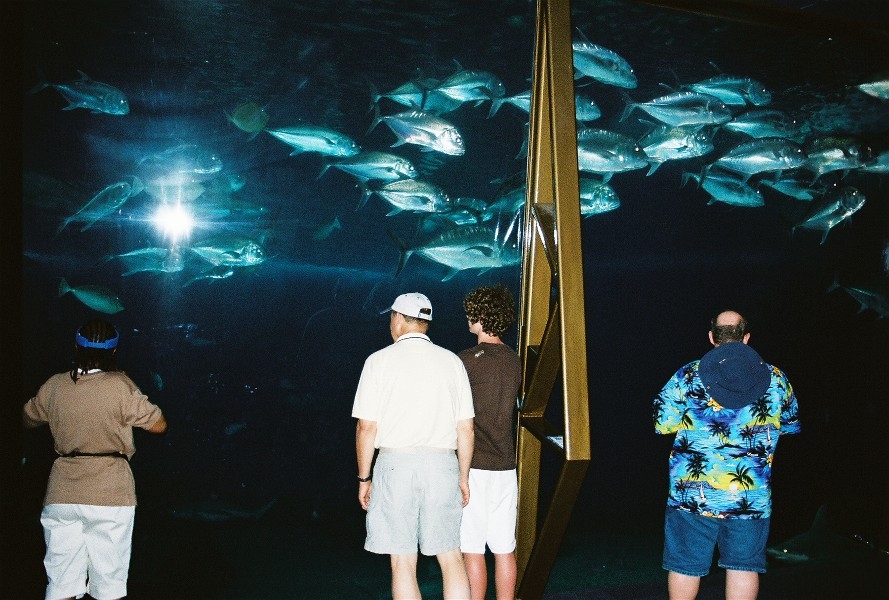 Ocean Center. Maui, Hawaii