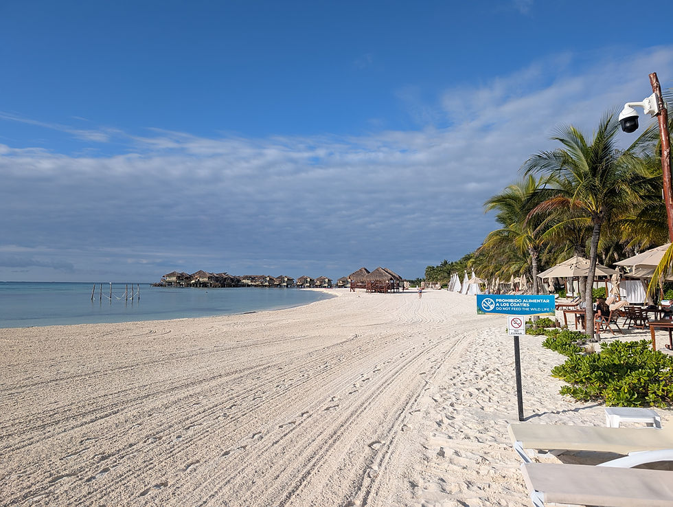 Maroma Beach in beautiful Riviera Maya, Mexico. Part of the MORE INCLUSIVE package.
