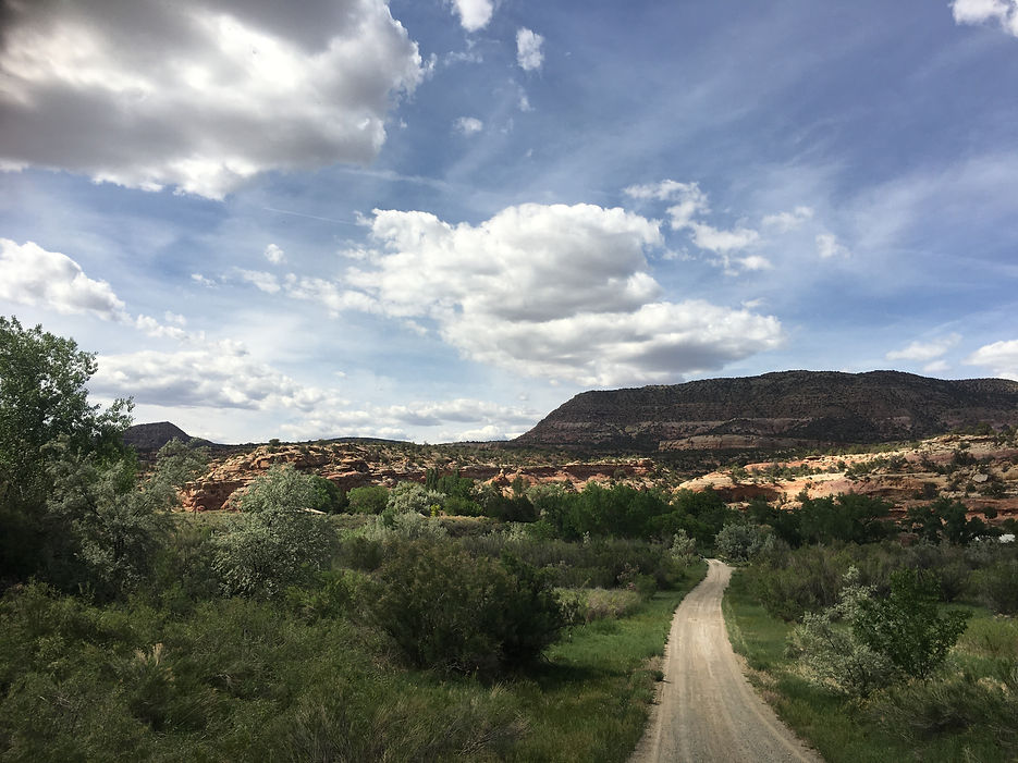 Road into Ancient Echoes at Kelly Place.JPG