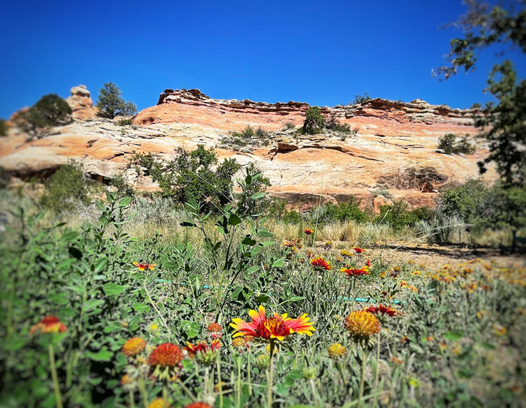 Lodging near Mesa Verde and Hovenweep, Colorado 