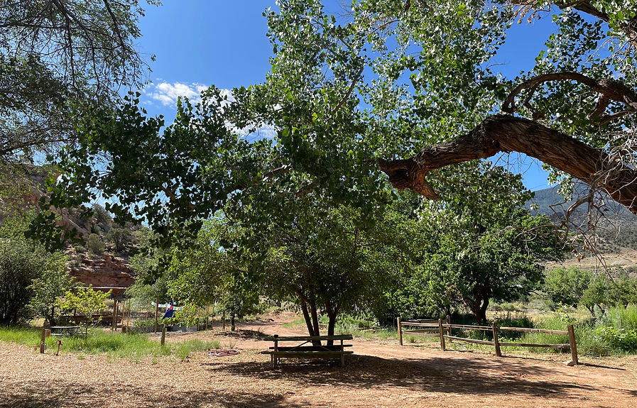 camp near mesa verde.jpg
