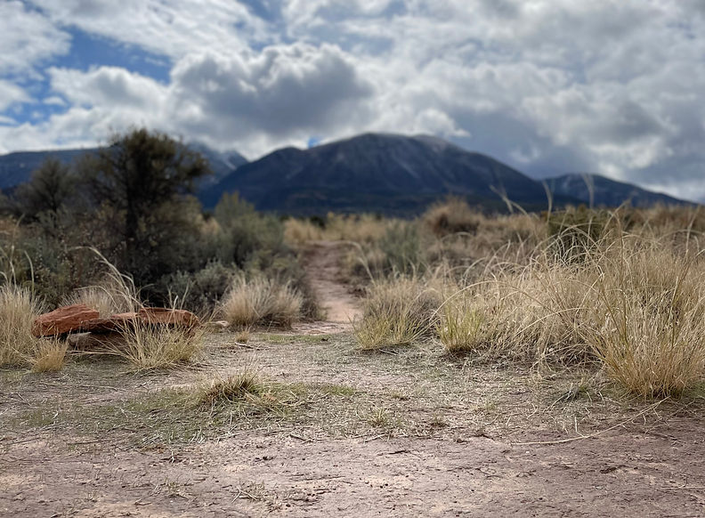 kiva pathway _edited.jpg