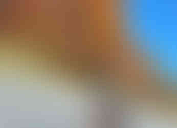 PEV600紅葉ツーリング 高松公園