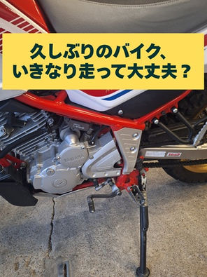 シーズン前チェックしましょう！