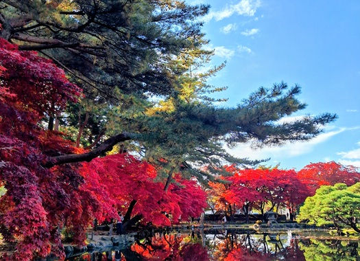 PEV600紅葉ツーリング 高松公園