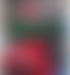 除雪機シーズン初めのセルフ点検ガイド