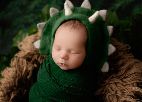 Anderson,Greenville SC Newborn Photographer