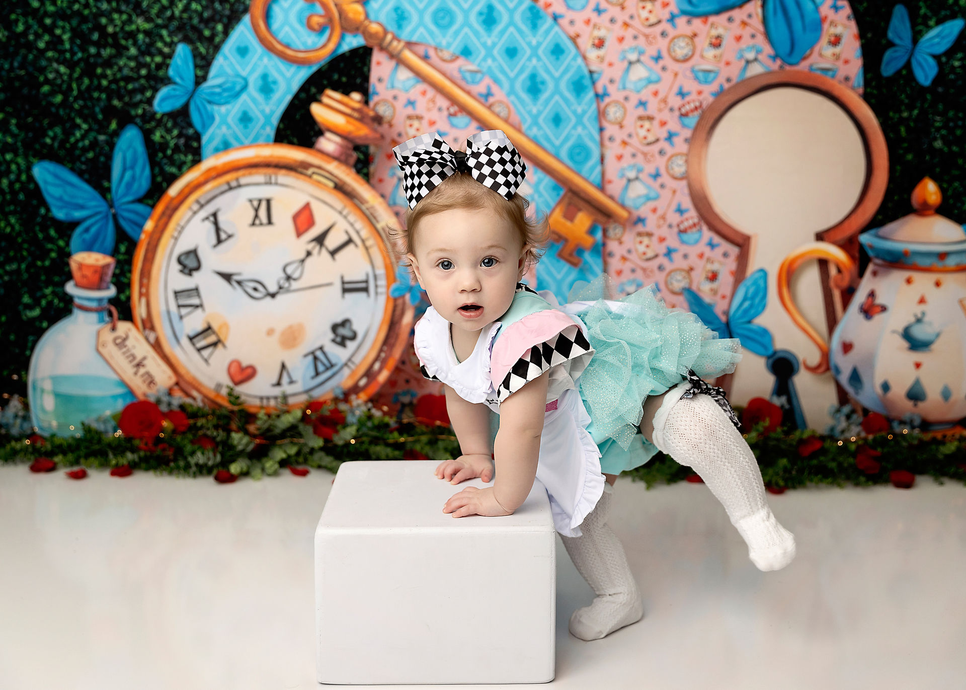 Greenville, SC Baby Photographer