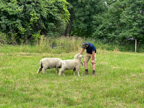 Some on-site helpers!