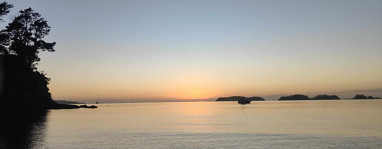 Martins Bay pre dawn Jan 2024.jpg