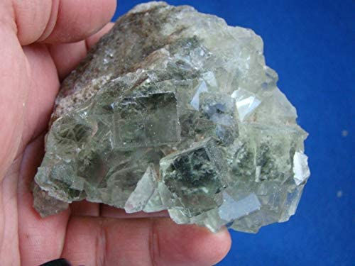 Thumbnail: Gemquartz Ham6505 Green Glassy Fluorite Crystals in Matrix Large