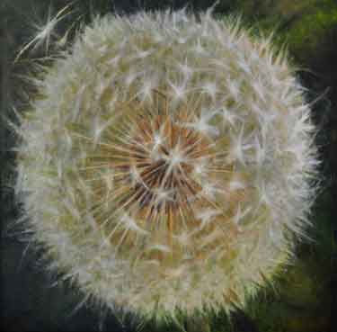 Patient-for-a-Breeze-II