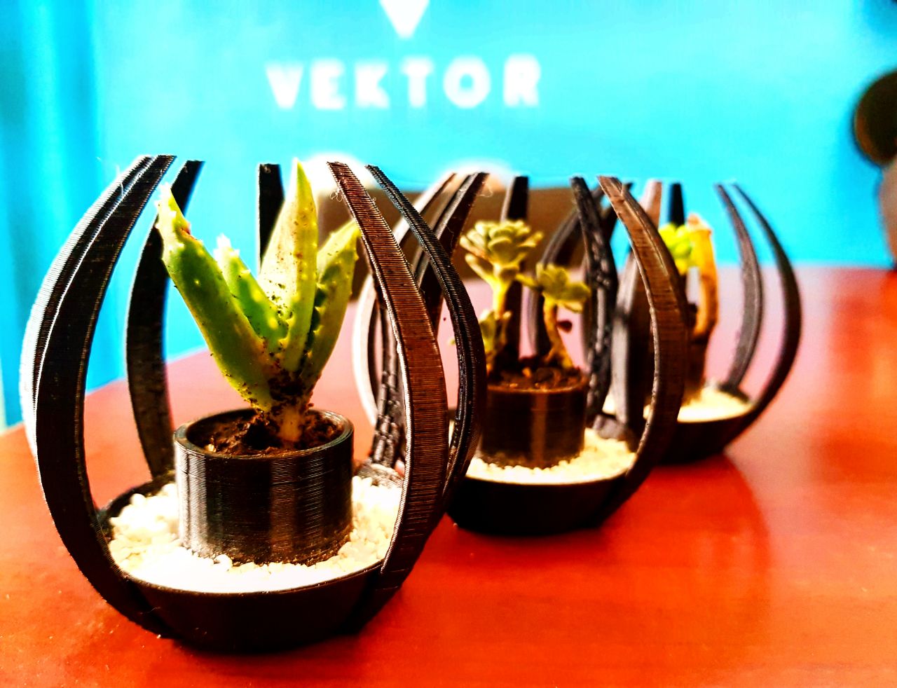 Merchandising Vivero