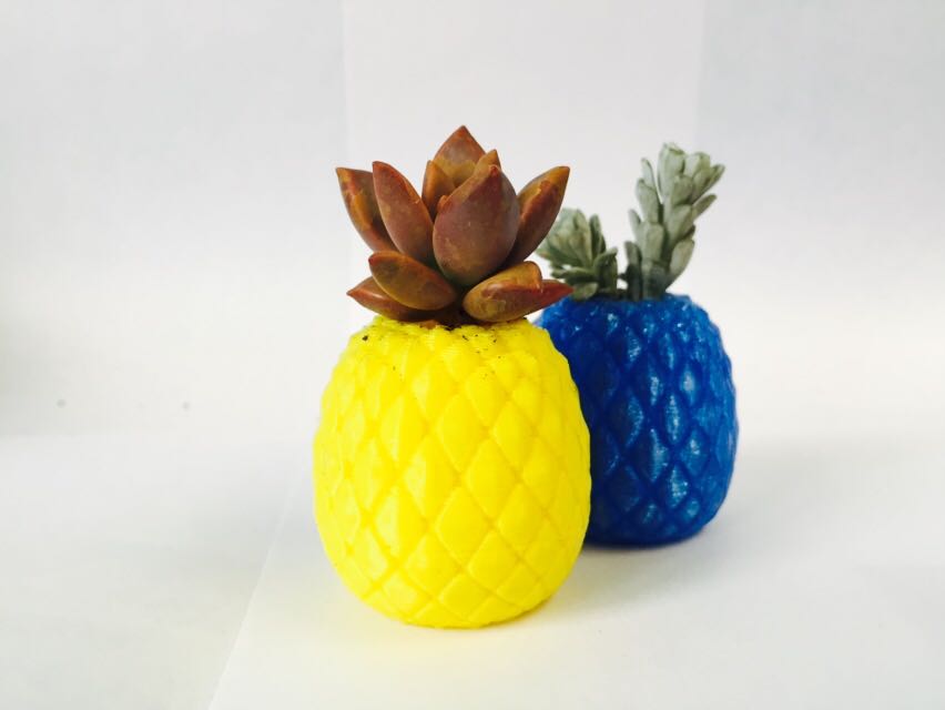 Merchandising empresa agricultora