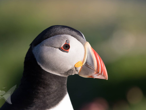 Our Hebridean Photography Tour Starts Today!