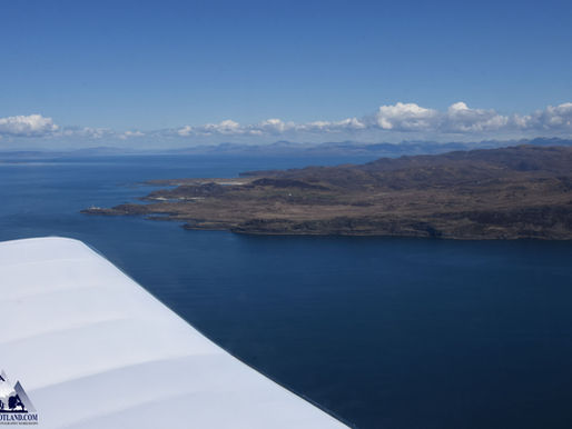 Aerial Whalewatch!