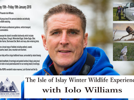 Join Iolo Williams on Islay this Winter!