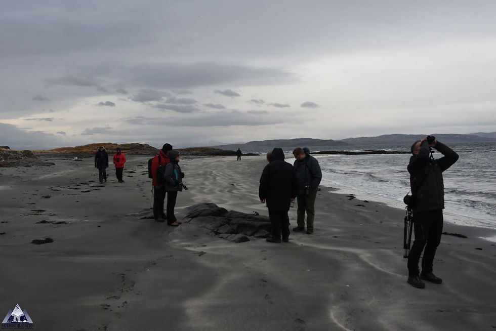 Iolo Williams, Mull, Isle of Mull,