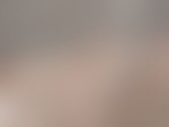 Diurnal Barn Owl