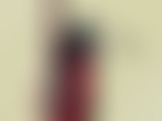 Transparent Burnet Moth