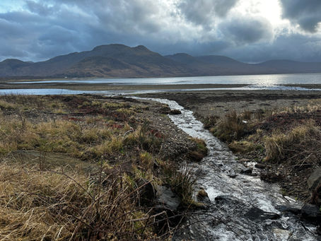 🎄The Nature of Mull - Advent Calendar Day 2️⃣ 0️⃣