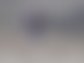 THE SOLWAY WINTER WILDLIFE EXPEDITION with IOLO WILLIAMS - DAY 1