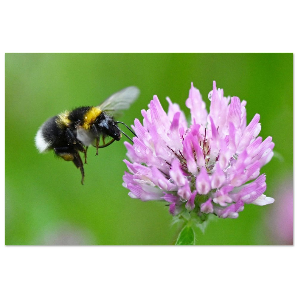 Keeping the planet working - Aluminum Print