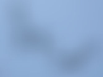 The Isle of #Islay Wildlife Expedition with Iolo Williams